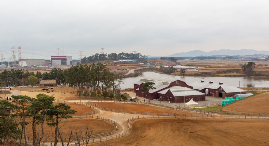 겨울이 주는 선물 중 하나는 고요함이다. 추운 날씨는 일상의 속도를 늦춘다. 덩달아 마음도 가지런해진
다. 이럴 때 잘 어울리는 친구가 자연과 책이다. 편안한 자연 속에서 책 한 권 읽는 모습을 상상하고 있다
면, 전라북도 고창으로 떠나보면 어떨까. 고창읍성과 선운사로 유명한 고창에 상하농원과 책마을해리 등 
새로운 여행지가 떠오르고 있다.